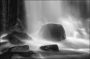 "Ease Gill Force"