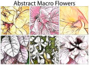 "Abstract Macro Flowers"