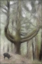 "Fantasy Forest 2"