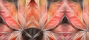"Maple Leaf Compendium"