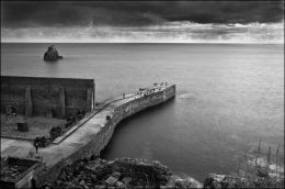 "Lull before the Storm"