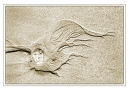 "Sand Pattern"