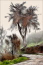 “Impressionist Trees” 