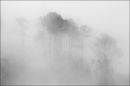 "Misty Hillside"