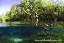 Rainbow River