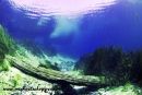 Rainbow River
