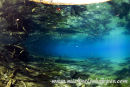 Morrison Spring