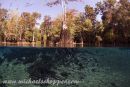 Morrison Spring