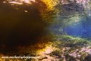 Santa Fe River
