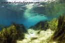 Rainbow River