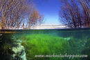 Spring in the gypsum karst