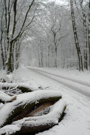 Gravenallee
