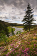 River Gairn, Scotland