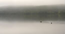 Loch Morlich, Scotland