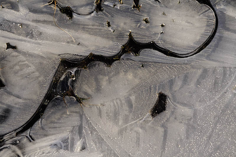 Ice patterns