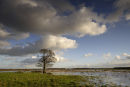 Mepper Hooilanden