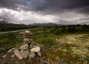 Dovrefjell, Norway
