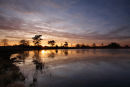 Drents-Friese Wold