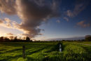 The 'Twentse' Countryside