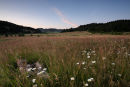 Yamhill County, Oregon USA
