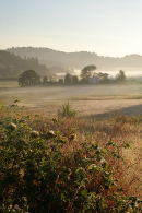 Yamhill County, Oregon USA