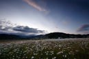Yamhill County, Oregon USA