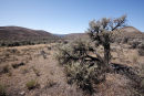 John Day Fossil Beds, Oregon USA