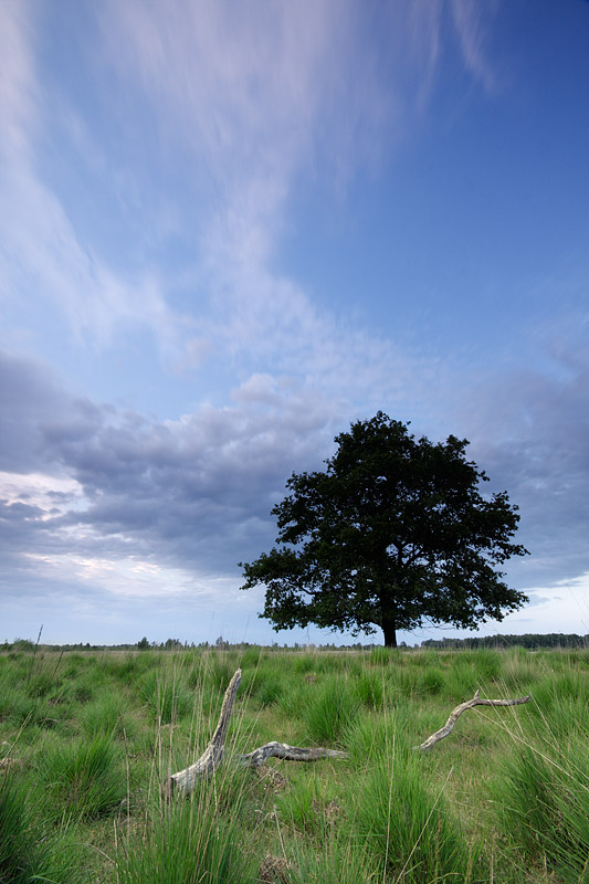 Haaksbergerveen