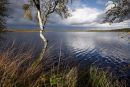 Aan 't Elfde Groote Peel