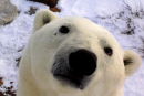 You lookin at me????