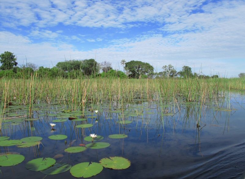 The Okovanga Delta