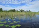 The Okovanga Delta