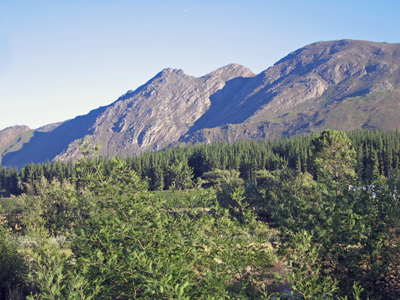 The view from the town