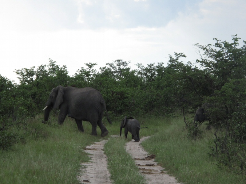 Mother and child