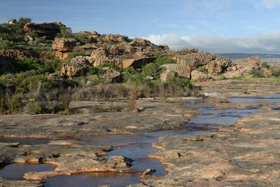 The river at Bushman's Kloof
