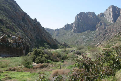 The Pass 1