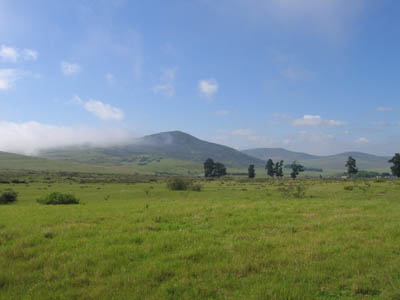 The hills at Darling 