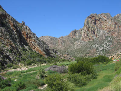 The Pass 5