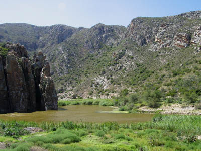 The Pass 6