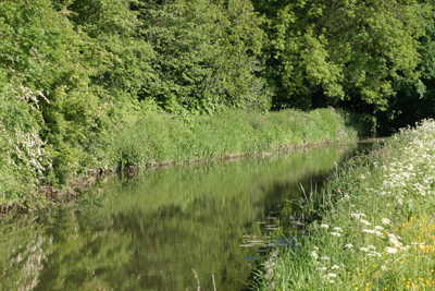 Passing through Rousham park