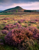 Hawnby Hill