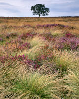 Hawnby, North York Moors.