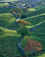 Swaledale