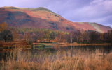 Catbells Ridge from Manesty