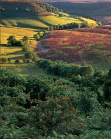 Hole of Horcum