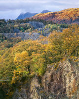 Langdale Pikes from Hodge Close