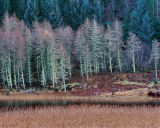 Loch Seil