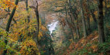 Strid View, Bolton Abbey