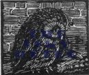 Hoot