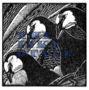 Brent Geese